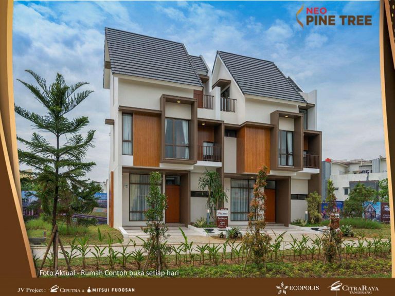 CLUSTER PINE TREES