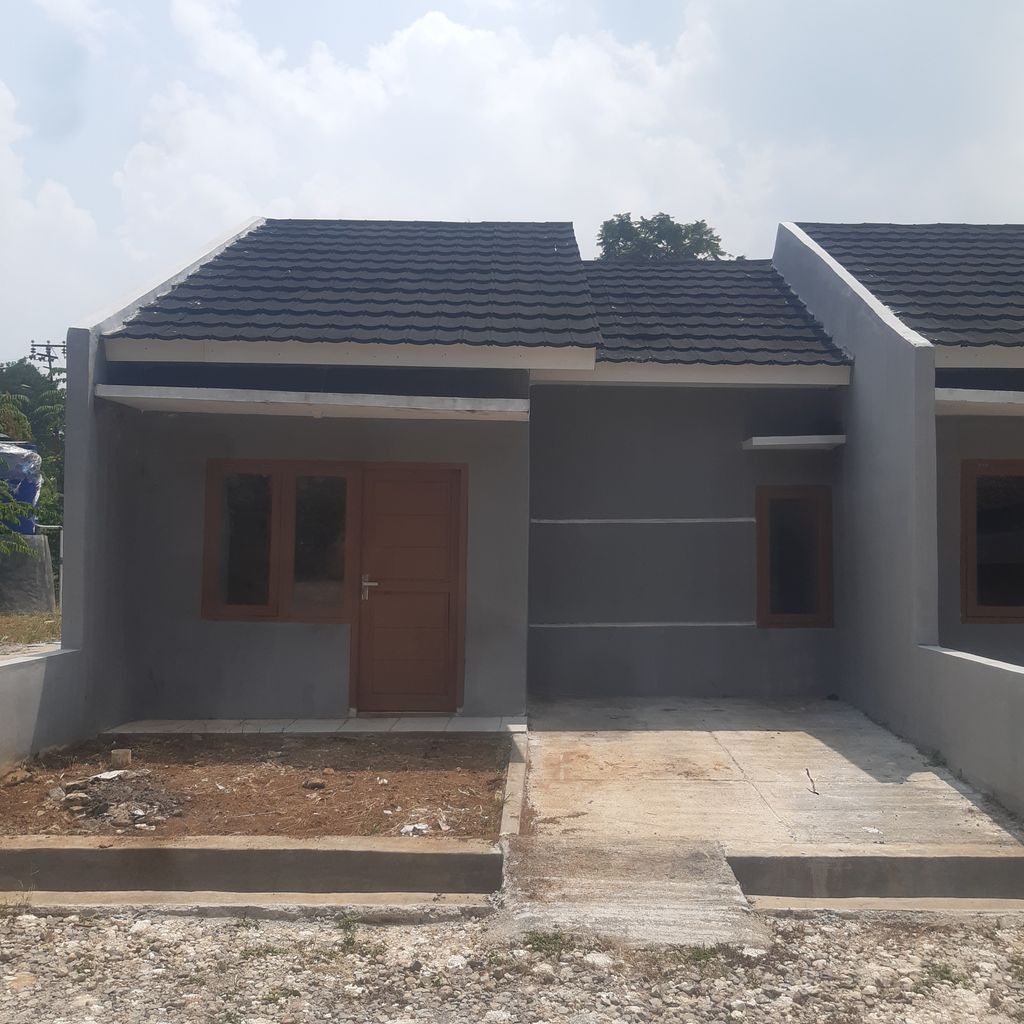 PRIMALAND REGENCY 320